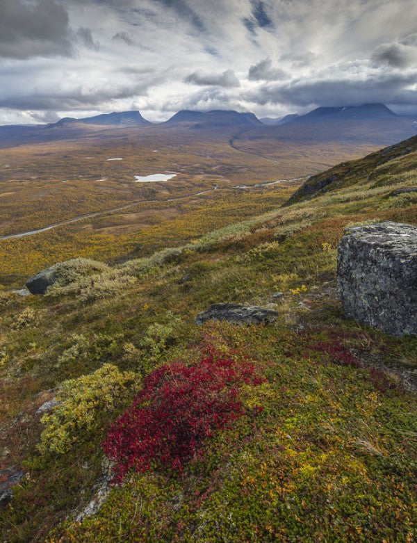 輸入壁紙 カスタム壁紙 PHOTOWALL / Nuolja Mountain, Abisko - Sweden (e23691)