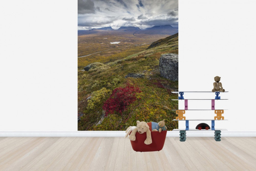 輸入壁紙 カスタム壁紙 PHOTOWALL / Nuolja Mountain, Abisko - Sweden (e23691)