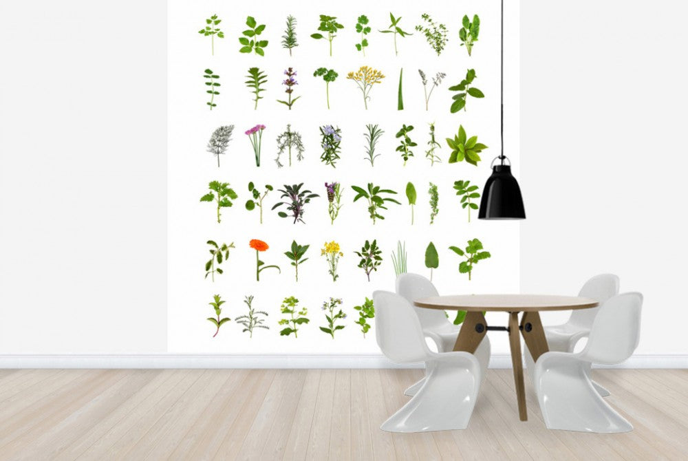 輸入壁紙 カスタム壁紙 PHOTOWALL / Herb and Flower Collection (e40129)