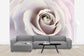 輸入壁紙 カスタム壁紙 PHOTOWALL / Soft Rose in Cool Shades (e23747)