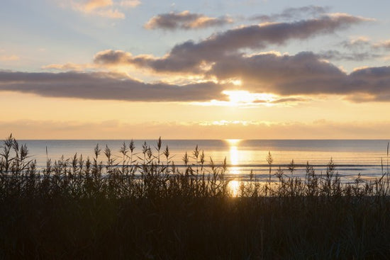 輸入壁紙 カスタム壁紙 PHOTOWALL / Grass and Sunset - Gotland (e23781)