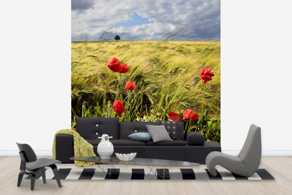 輸入壁紙 カスタム壁紙 PHOTOWALL / Velvety Barley and Poppies Field (e23871)