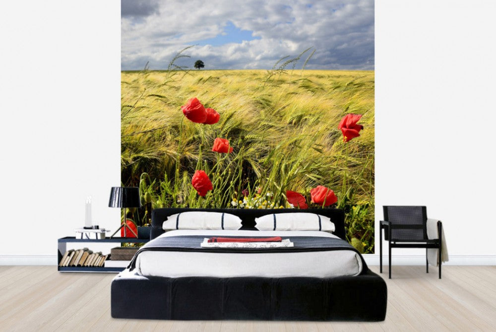 輸入壁紙 カスタム壁紙 PHOTOWALL / Velvety Barley and Poppies Field (e23871)