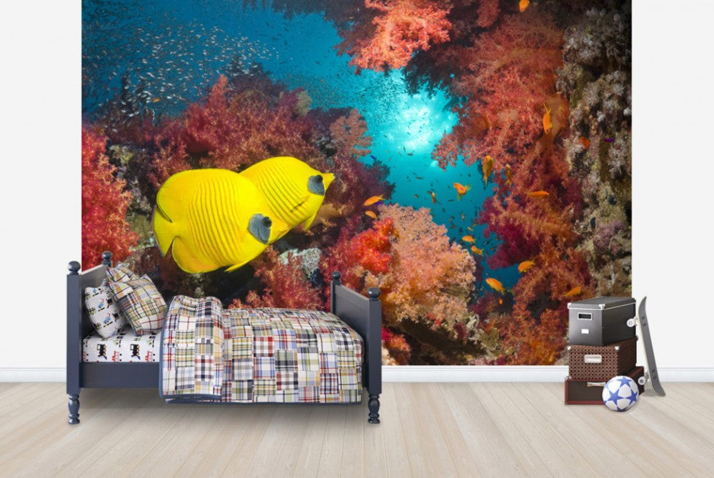 輸入壁紙 カスタム壁紙 PHOTOWALL / Butterfly Fish and Red Corals (e23892)