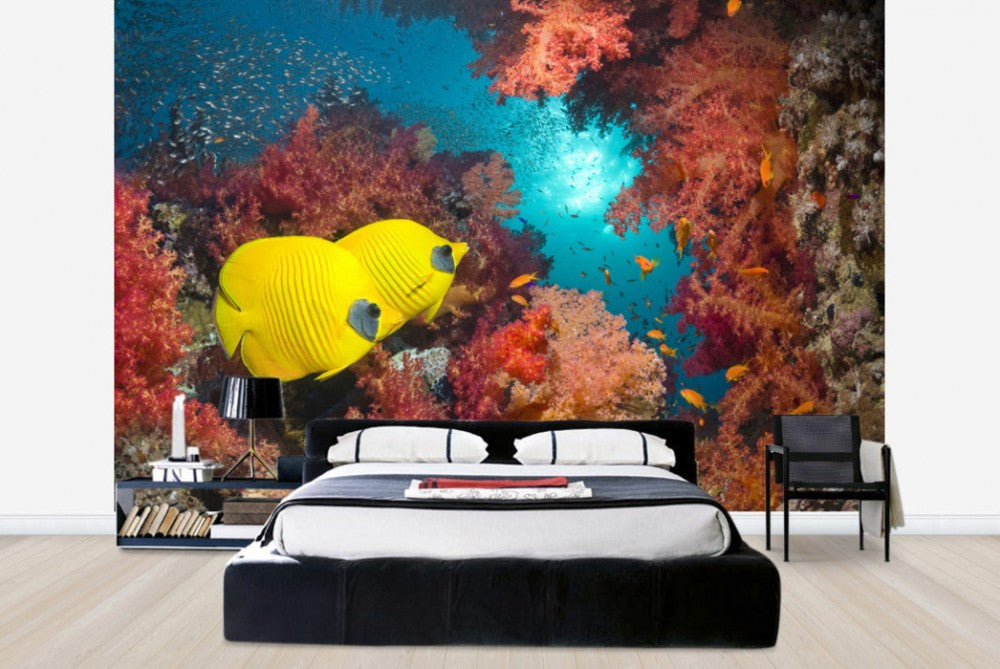 輸入壁紙 カスタム壁紙 PHOTOWALL / Butterfly Fish and Red Corals (e23892)