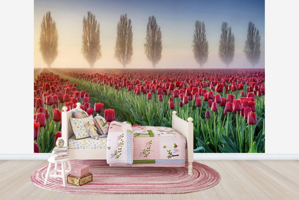 輸入壁紙 カスタム壁紙 PHOTOWALL / Misty Morning in Tulip Field (e23936)