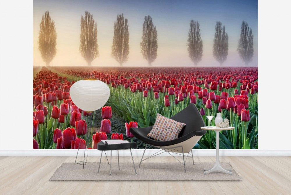 輸入壁紙 カスタム壁紙 PHOTOWALL / Misty Morning in Tulip Field (e23936)