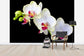 輸入壁紙 カスタム壁紙 PHOTOWALL / White Orchids on Black Background (e24047)