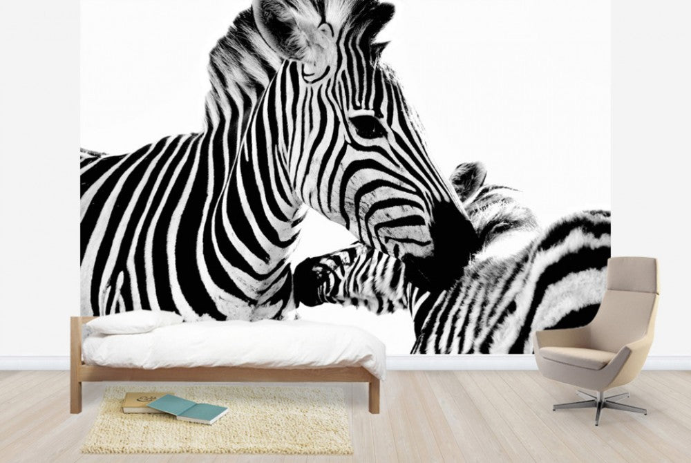 輸入壁紙 カスタム壁紙 PHOTOWALL / Cuddling Zebras (e24071)