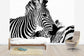 輸入壁紙 カスタム壁紙 PHOTOWALL / Cuddling Zebras (e24071)