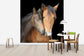 輸入壁紙 カスタム壁紙 PHOTOWALL / Horse and Foal (e24073)