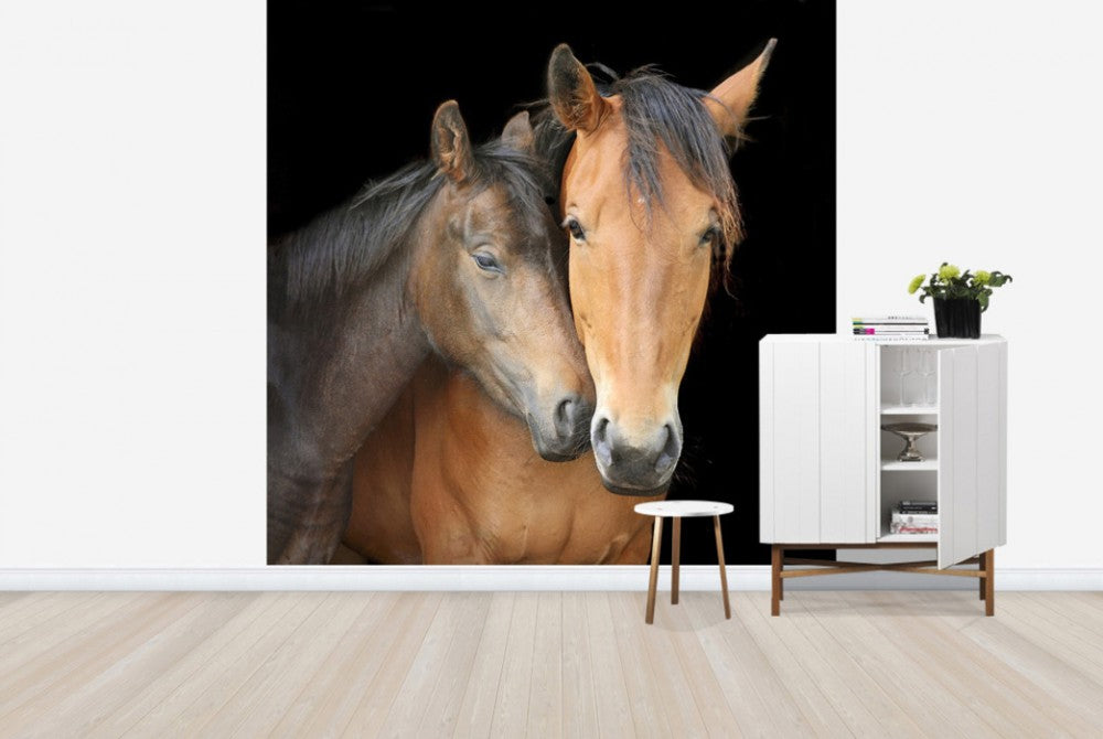 輸入壁紙 カスタム壁紙 PHOTOWALL / Horse and Foal (e24073)