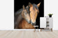 輸入壁紙 カスタム壁紙 PHOTOWALL / Horse and Foal (e24073)