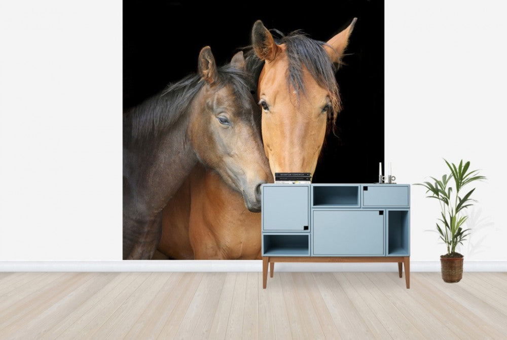 輸入壁紙 カスタム壁紙 PHOTOWALL / Horse and Foal (e24073)