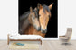 輸入壁紙 カスタム壁紙 PHOTOWALL / Horse and Foal (e24073)