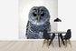 輸入壁紙 カスタム壁紙 PHOTOWALL / Rufous Legged Owl (e24132)