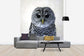 輸入壁紙 カスタム壁紙 PHOTOWALL / Rufous Legged Owl (e24132)