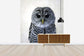 輸入壁紙 カスタム壁紙 PHOTOWALL / Rufous Legged Owl (e24132)