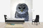 輸入壁紙 カスタム壁紙 PHOTOWALL / Rufous Legged Owl (e24132)