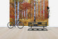 輸入壁紙 カスタム壁紙 PHOTOWALL / Autumn Birches of the Rocky Mountains (e24622)