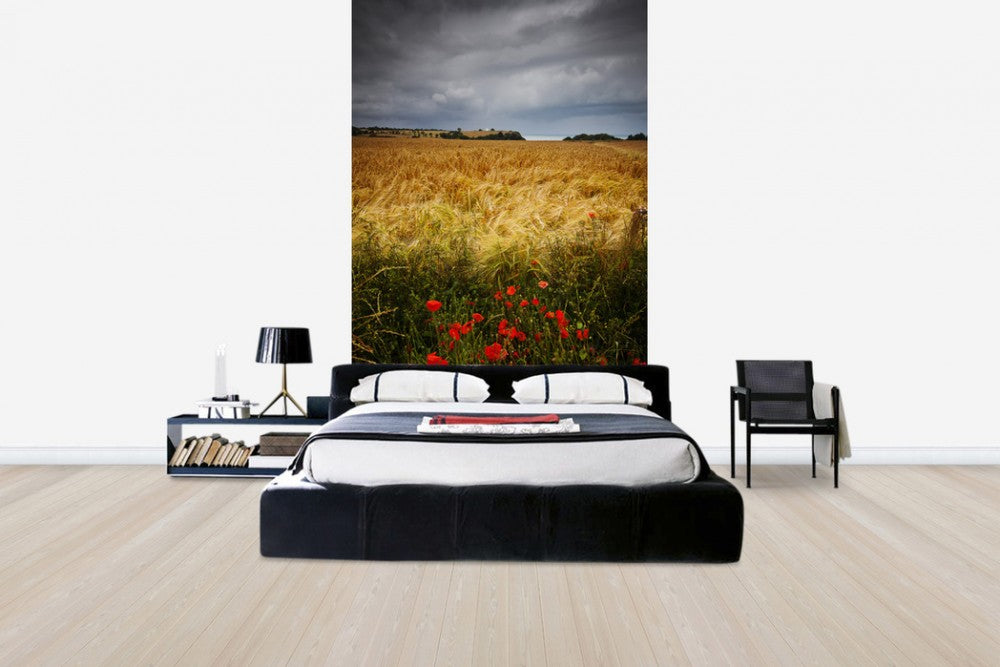 輸入壁紙 カスタム壁紙 PHOTOWALL / Poppies and Hay Field (e24666)