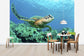 輸入壁紙 カスタム壁紙 PHOTOWALL / Sea Turtle in Coral (e24724)