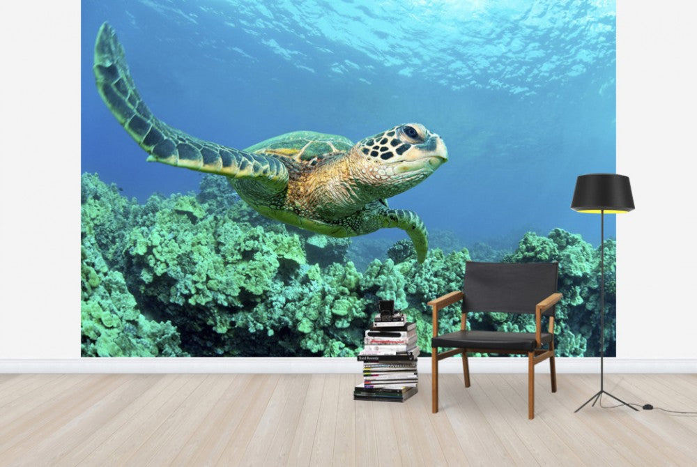 輸入壁紙 カスタム壁紙 PHOTOWALL / Sea Turtle in Coral (e24724)