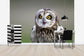 輸入壁紙 カスタム壁紙 PHOTOWALL / Short-Eared Owl (e24747)