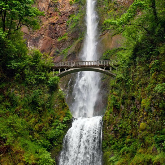 輸入壁紙 カスタム壁紙 PHOTOWALL / Multnomah Falls (e24797)