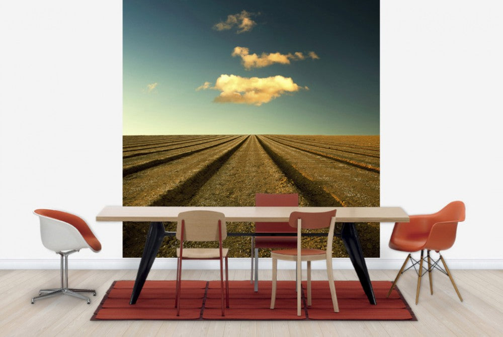 輸入壁紙 カスタム壁紙 PHOTOWALL / Ploughed Field and Sky (e24799)