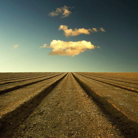 輸入壁紙 カスタム壁紙 PHOTOWALL / Ploughed Field and Sky (e24799)