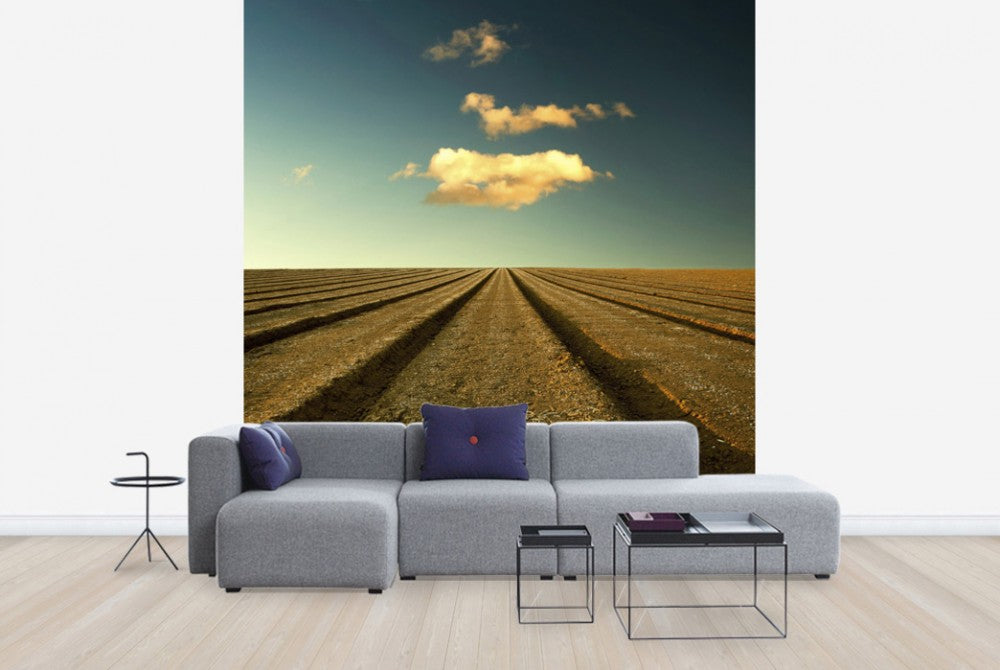 輸入壁紙 カスタム壁紙 PHOTOWALL / Ploughed Field and Sky (e24799)