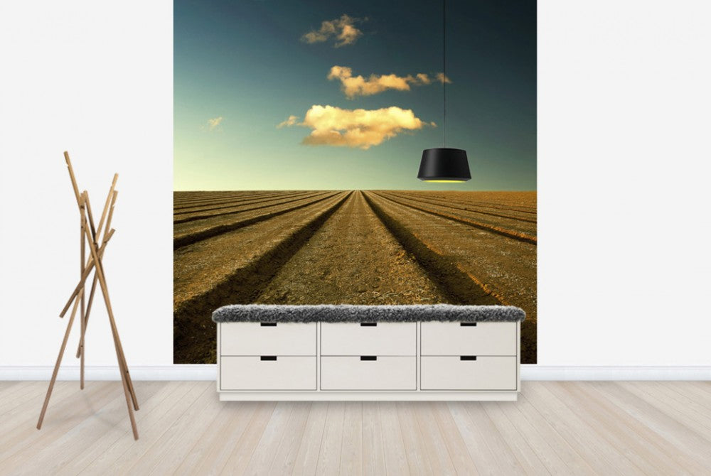 輸入壁紙 カスタム壁紙 PHOTOWALL / Ploughed Field and Sky (e24799)