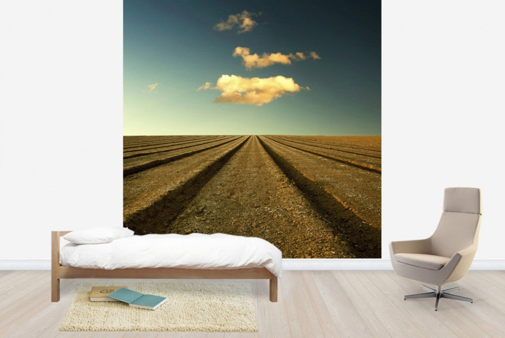 輸入壁紙 カスタム壁紙 PHOTOWALL / Ploughed Field and Sky (e24799)