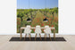 輸入壁紙 カスタム壁紙 PHOTOWALL / Poppies in the Vineyard (e40248)