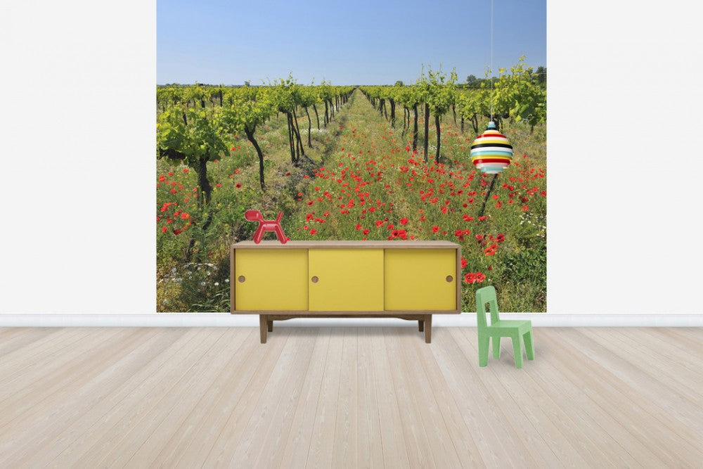 輸入壁紙 カスタム壁紙 PHOTOWALL / Poppies in the Vineyard (e40248)