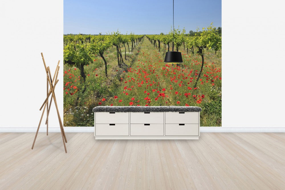 輸入壁紙 カスタム壁紙 PHOTOWALL / Poppies in the Vineyard (e40248)