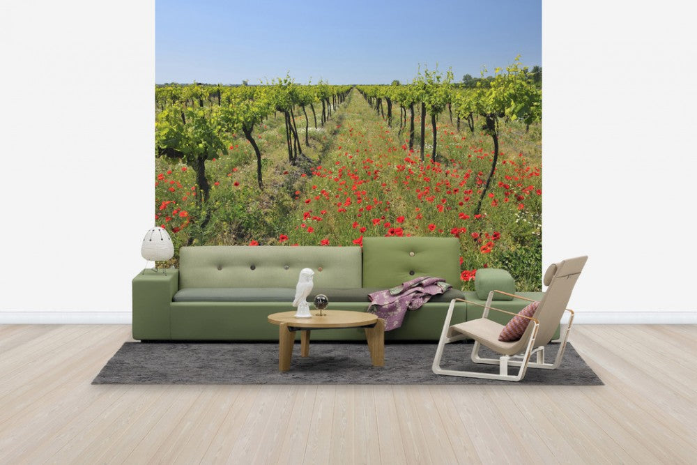 輸入壁紙 カスタム壁紙 PHOTOWALL / Poppies in the Vineyard (e40248)