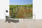 輸入壁紙 カスタム壁紙 PHOTOWALL / Poppies in the Vineyard (e40248)