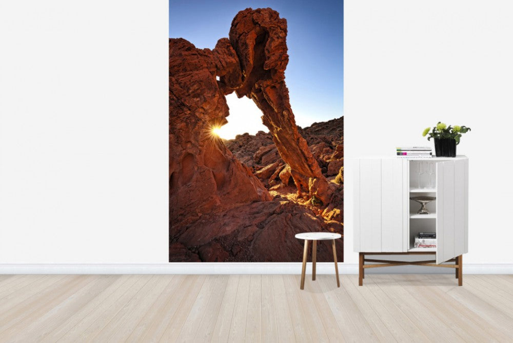 輸入壁紙 カスタム壁紙 PHOTOWALL / Elephant Rock in the Valley of Fire (e40267)