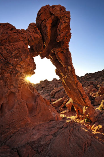 輸入壁紙 カスタム壁紙 PHOTOWALL / Elephant Rock in the Valley of Fire (e40267)