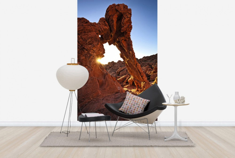 輸入壁紙 カスタム壁紙 PHOTOWALL / Elephant Rock in the Valley of Fire (e40267)