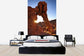 輸入壁紙 カスタム壁紙 PHOTOWALL / Elephant Rock in the Valley of Fire (e40267)