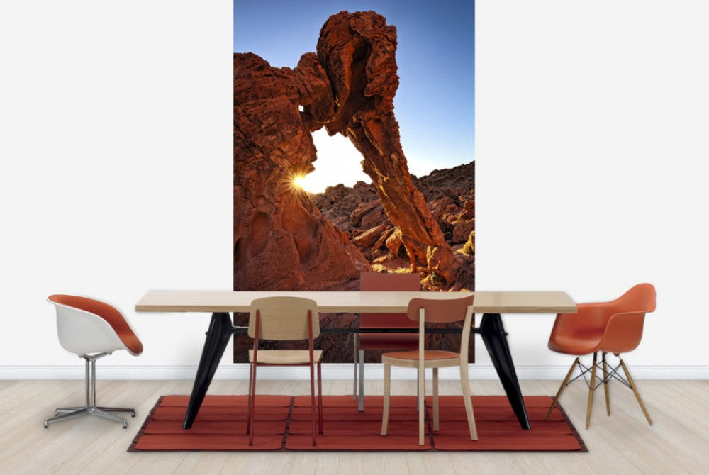 輸入壁紙 カスタム壁紙 PHOTOWALL / Elephant Rock in the Valley of Fire (e40267)