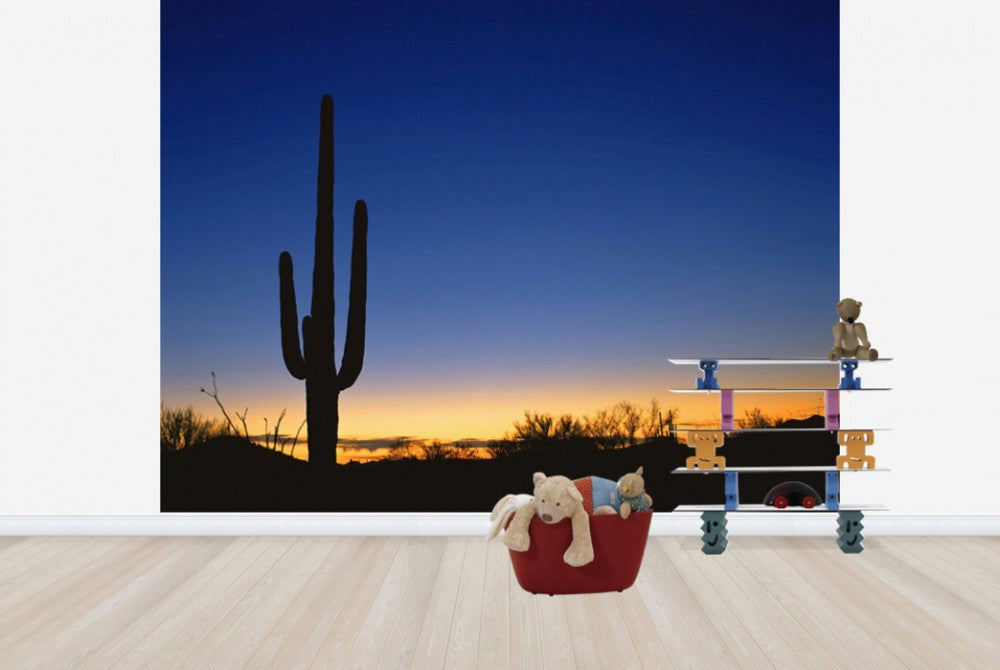 輸入壁紙 カスタム壁紙 PHOTOWALL / Silhouette of Desert Cactus (e40337)