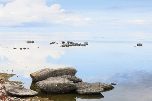 輸入壁紙 カスタム壁紙 PHOTOWALL / Sunny day at the coast of Gotland (e25127)