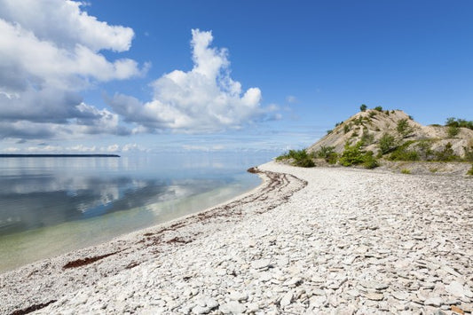 輸入壁紙 カスタム壁紙 PHOTOWALL / Sunny Coast of Gotland (e25130)