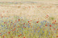 輸入壁紙 カスタム壁紙 PHOTOWALL / Rye Field with Flowers (e25141)