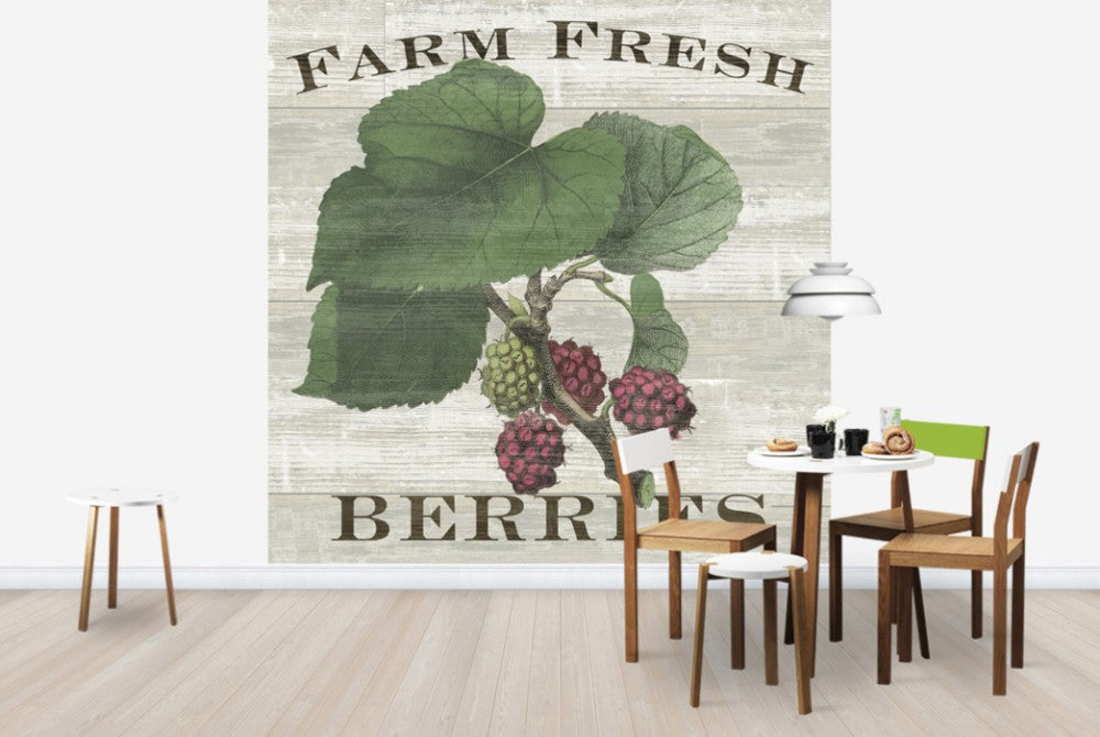 輸入壁紙 カスタム壁紙 PHOTOWALL / Farm Fresh Raspberries (e25641)