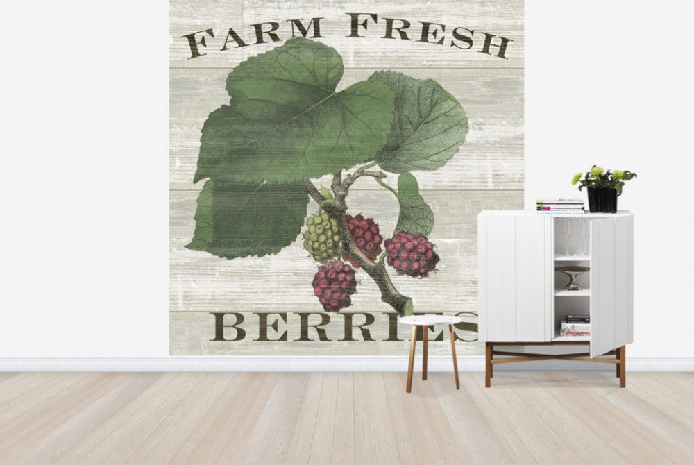 輸入壁紙 カスタム壁紙 PHOTOWALL / Farm Fresh Raspberries (e25641)